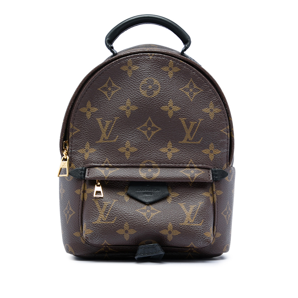 Pre-Loved Louis Vuitton Monogram Mini Palm Springs